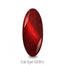 Gellaxy Cat Eye 817 5 ml-5058